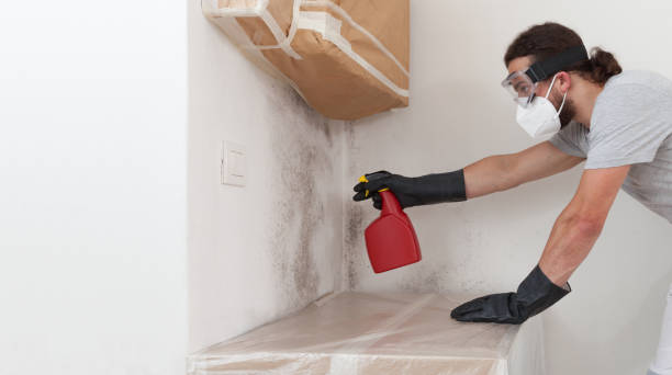 Professional Mold Remediation technician working in Diggs, VA